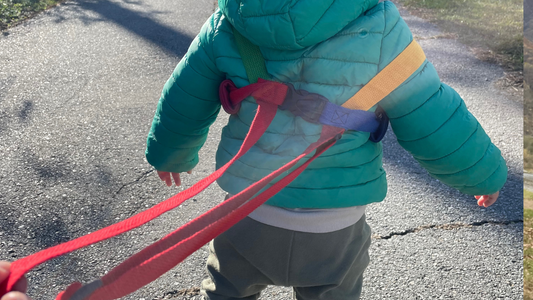 Come usare al meglio il guinzaglio porta bimbo durante il trekking