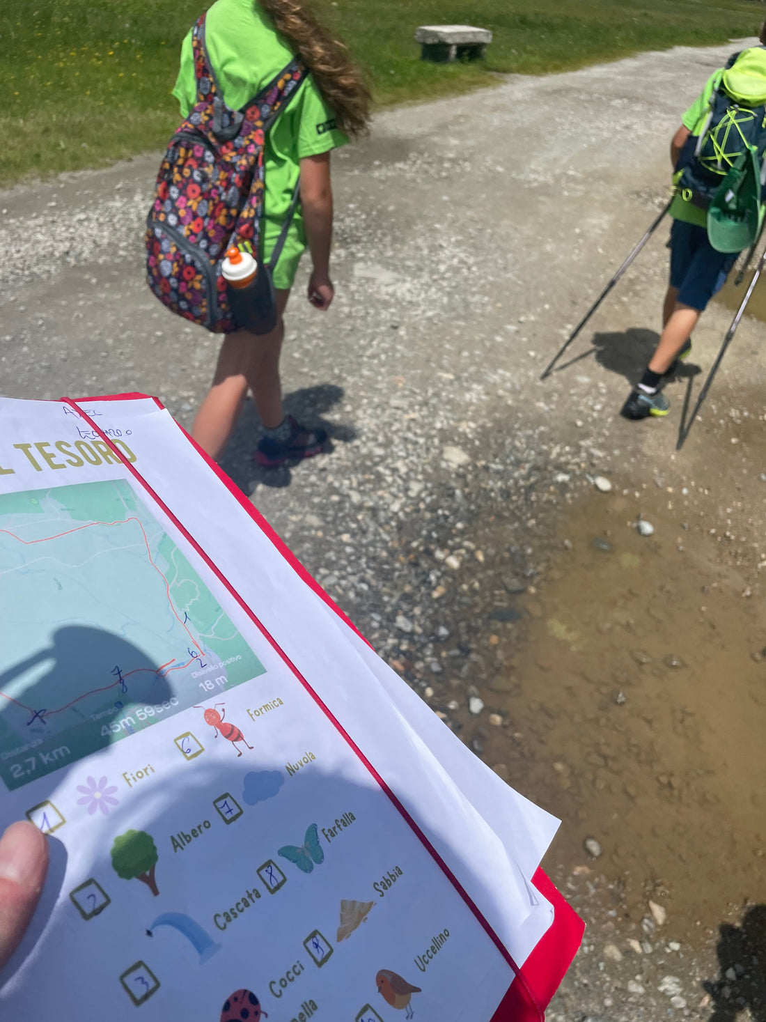 Organizzare una Caccia al Tesoro per Bambini nel Bosco: Guida Completa